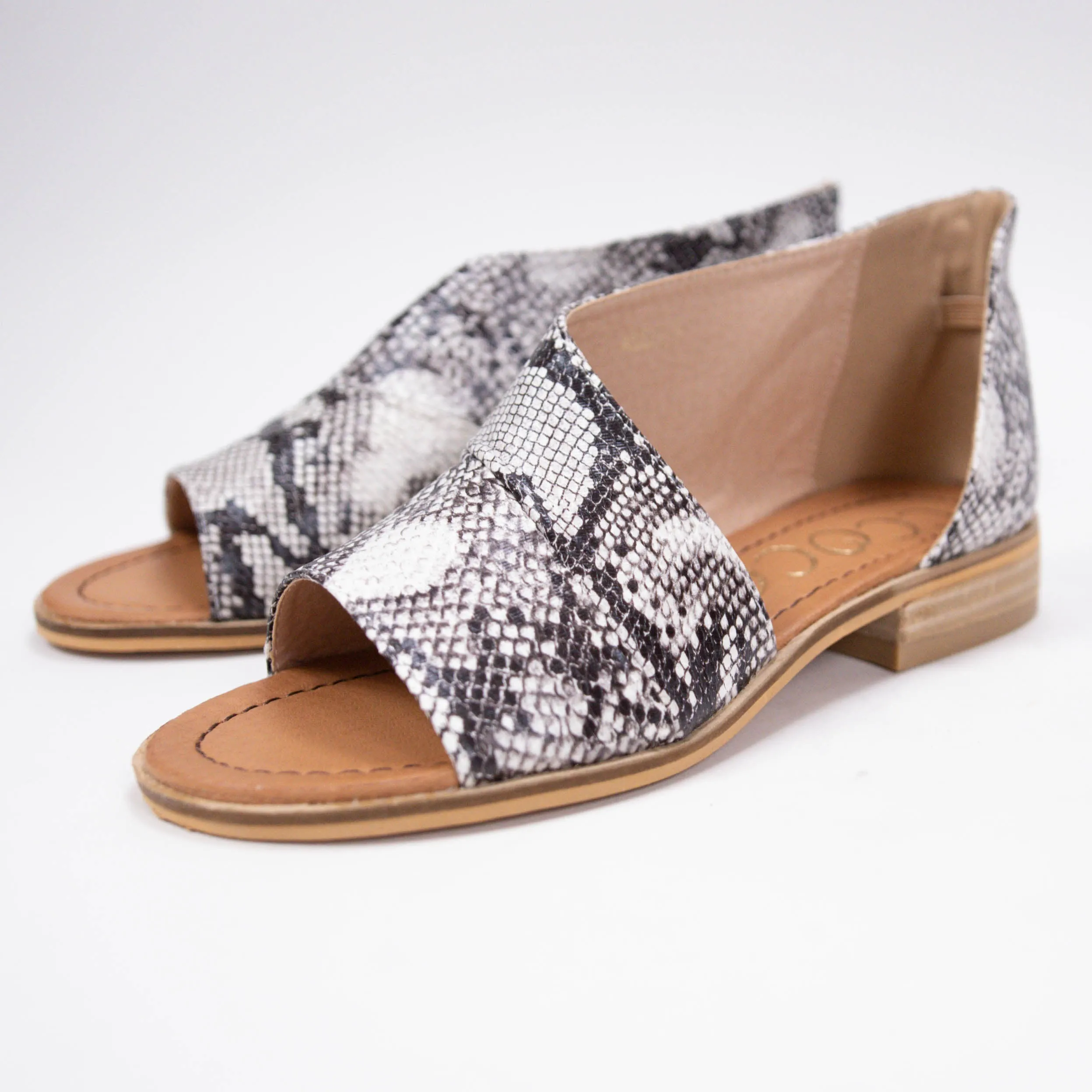 ADELE sold by CCOCCI product image thumbnail 5