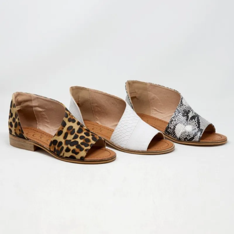 ADELE sold by CCOCCI