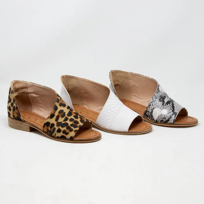 ADELE sold by CCOCCI