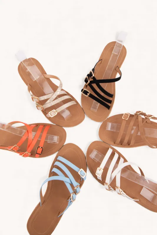 TRUSTY-C made by CCOCCI