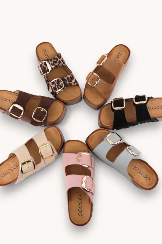 NANCY_1 sold by CCOCCI