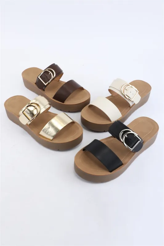 CANDOR sold by CCOCCI