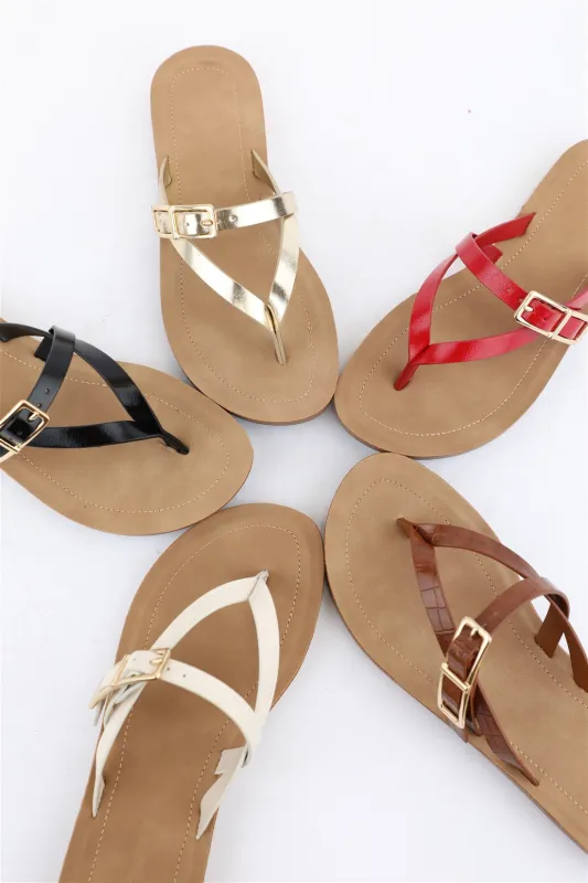 AUGIE sold by CCOCCI