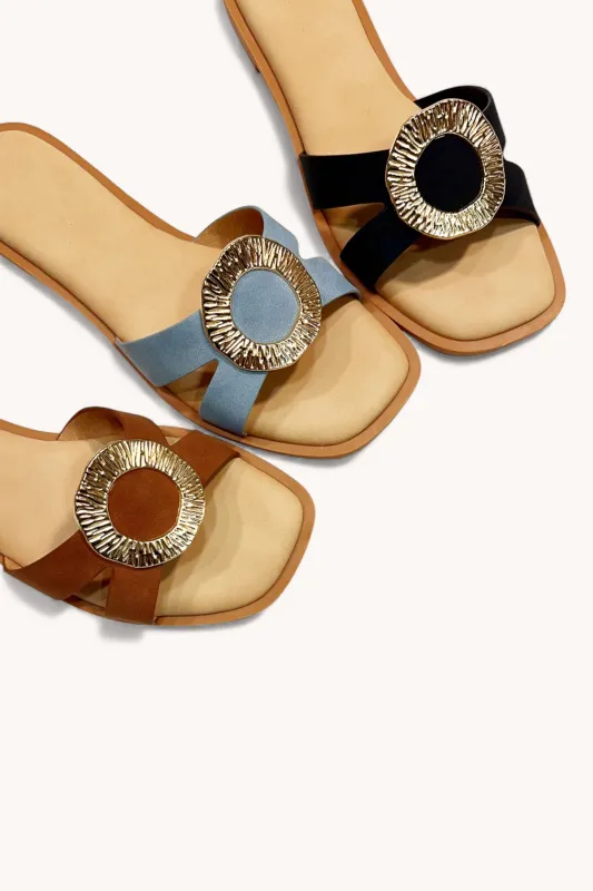 DISCLOSE-01 sold by CCOCCI