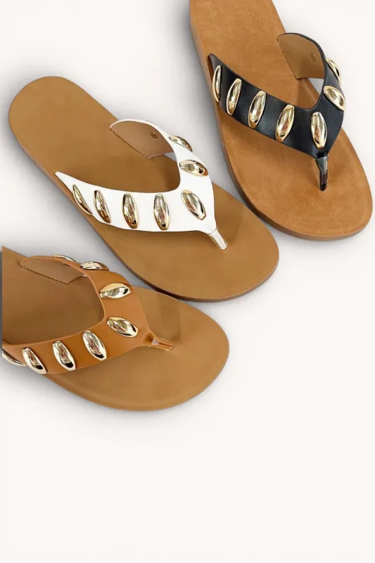 REBOOT-16 sold by CCOCCI