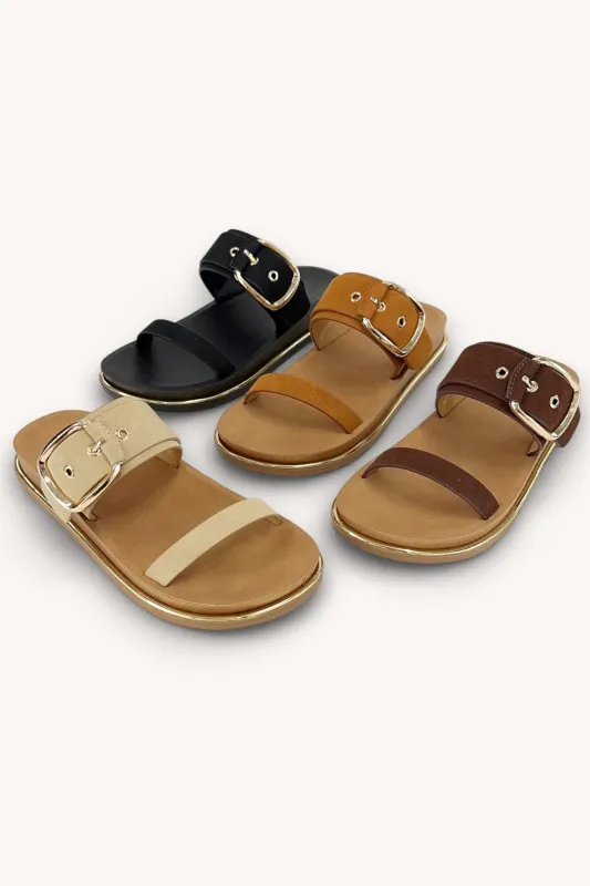 CITRUS-29 sold by CCOCCI