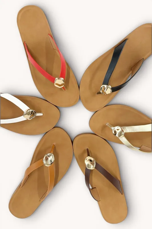 REBOOT-11 sold by CCOCCI