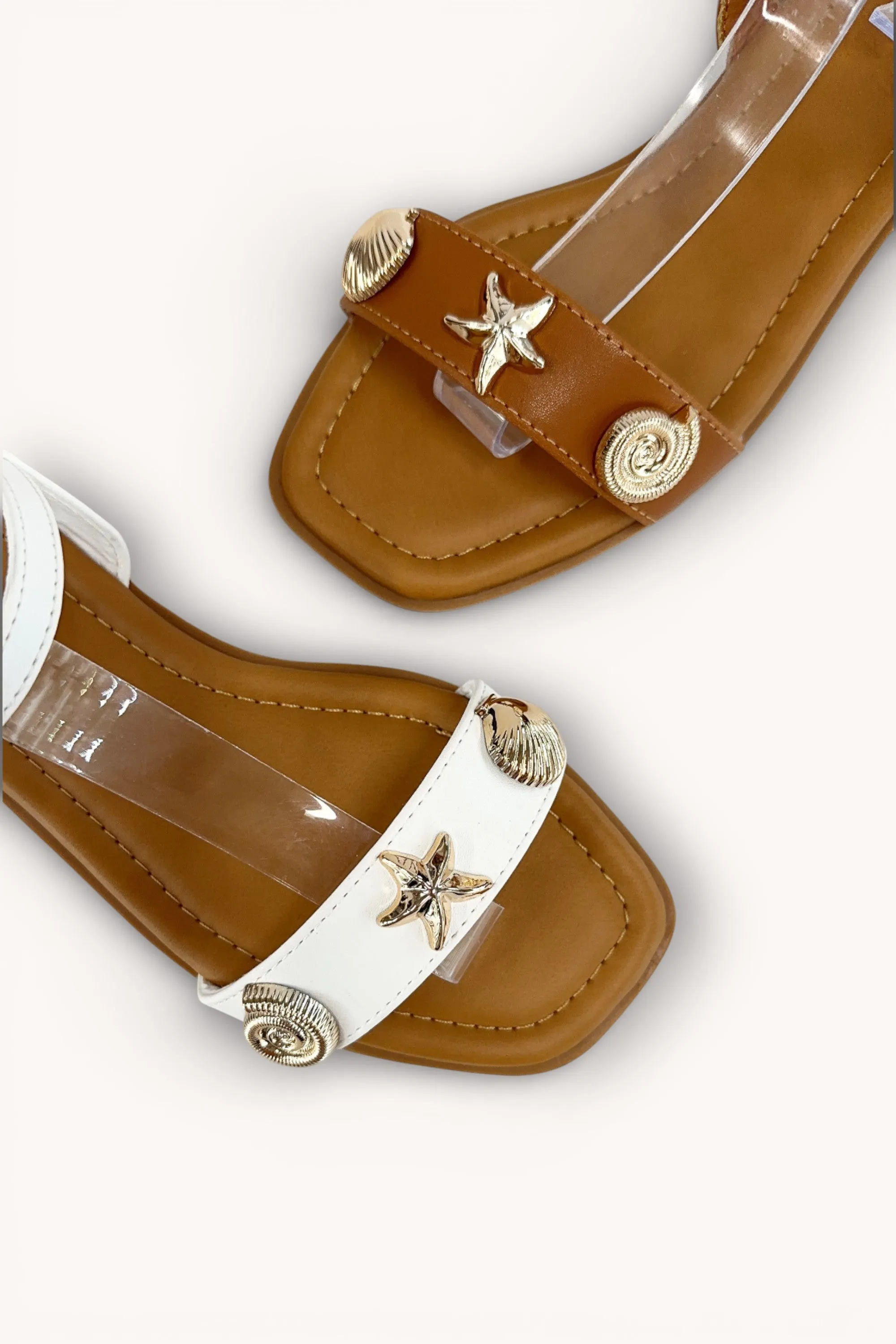 AMOUNT-22 sold by CCOCCI product image thumbnail 4