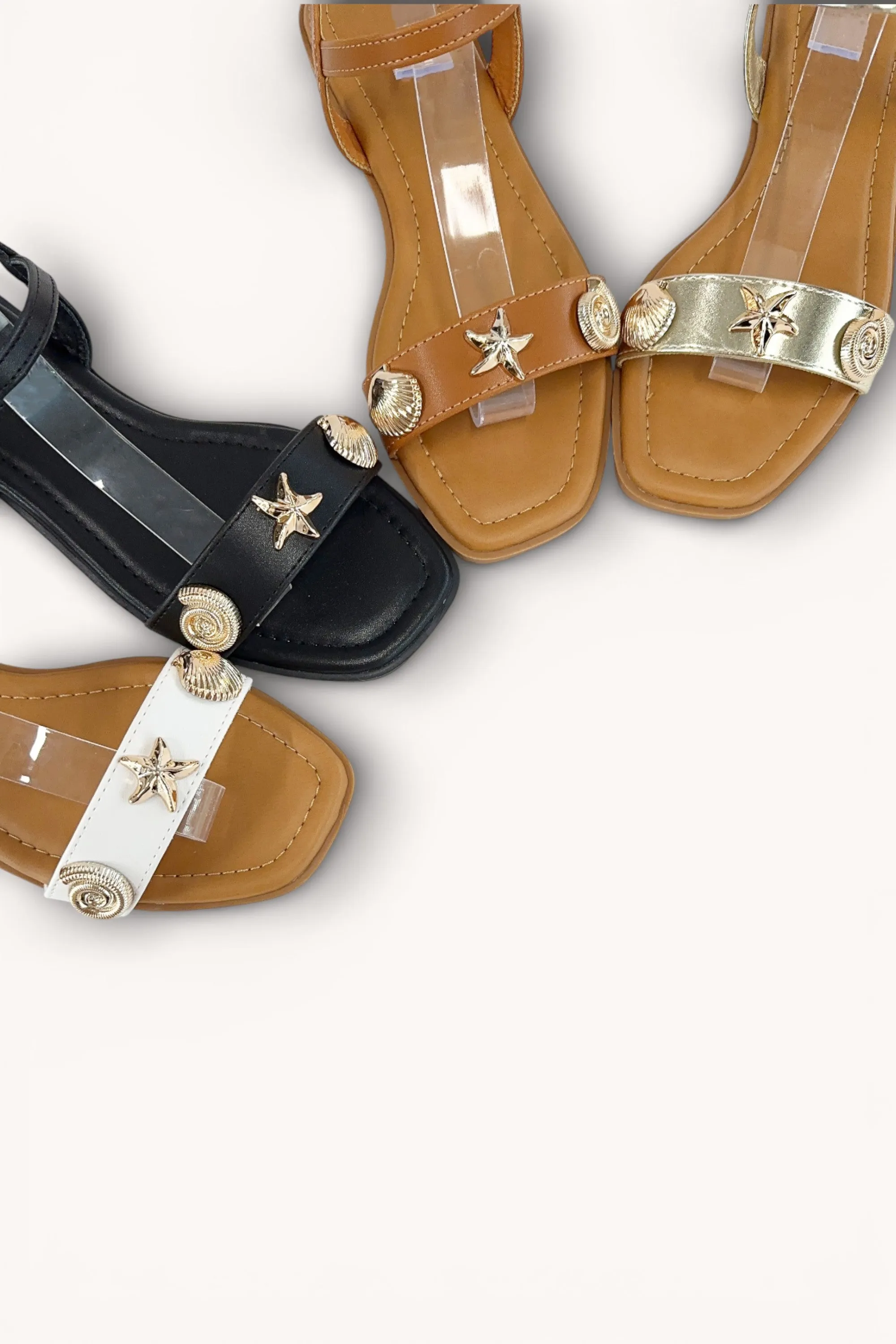 AMOUNT-22 sold by CCOCCI