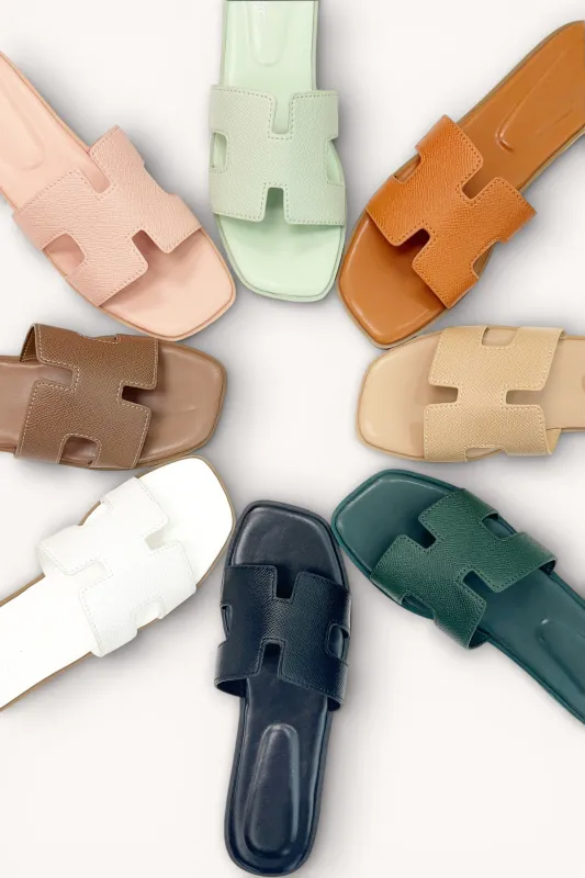 VESTA-2 sold by CCOCCI