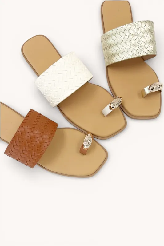 AUTUMN-6 sold by CCOCCI