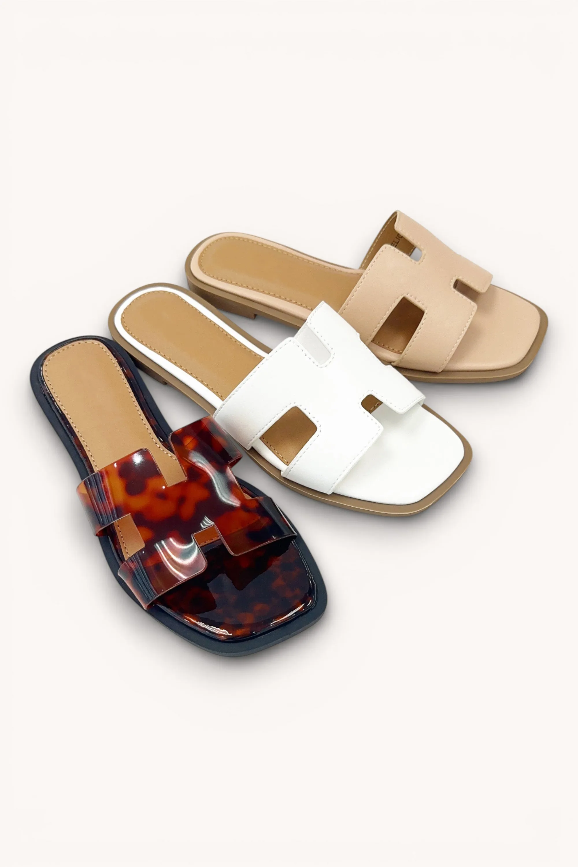 ELIO-20 sold by CCOCCI product image thumbnail 4