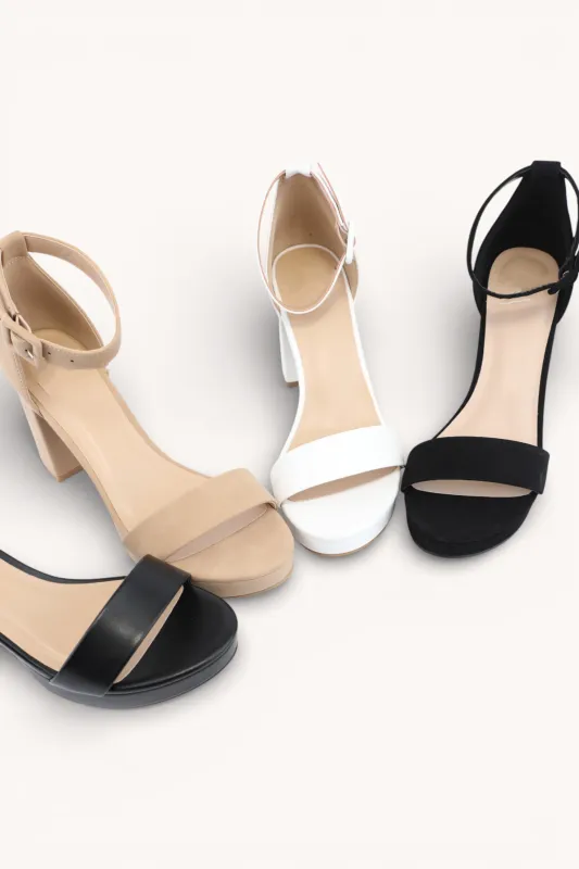 CENTURY-C sold by CCOCCI