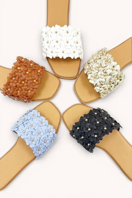 AUTUMN-48 sold by CCOCCI