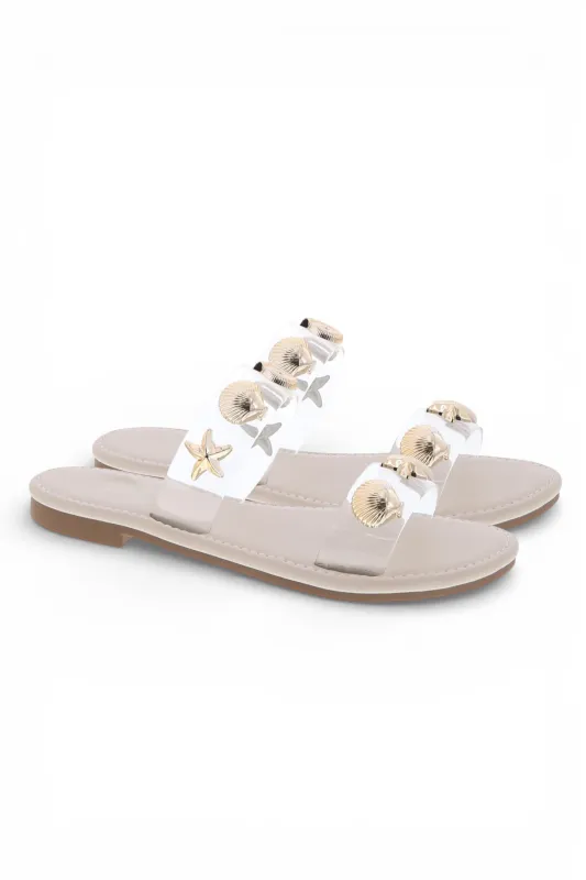 ARIA-8 CLEAR sold by CCOCCI