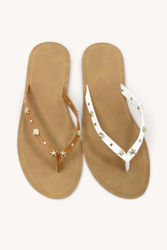 TULIP-40 made by CCOCCI