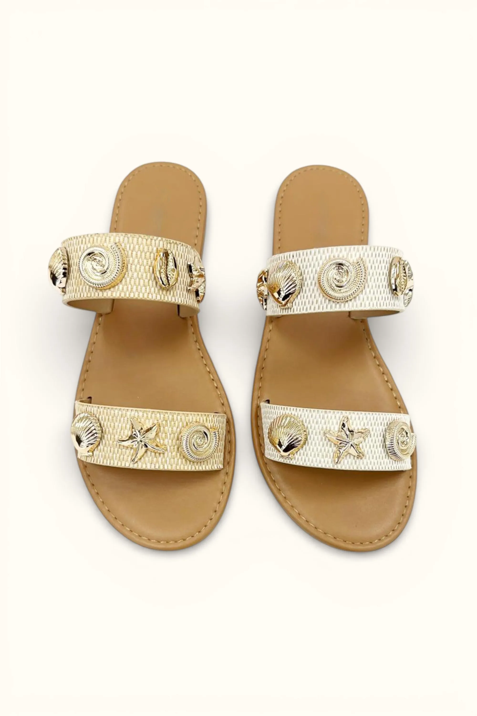 ARIA-8 sold by CCOCCI product image thumbnail 5