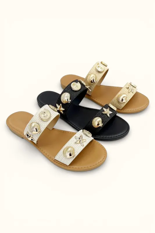 ARIA-8 sold by CCOCCI