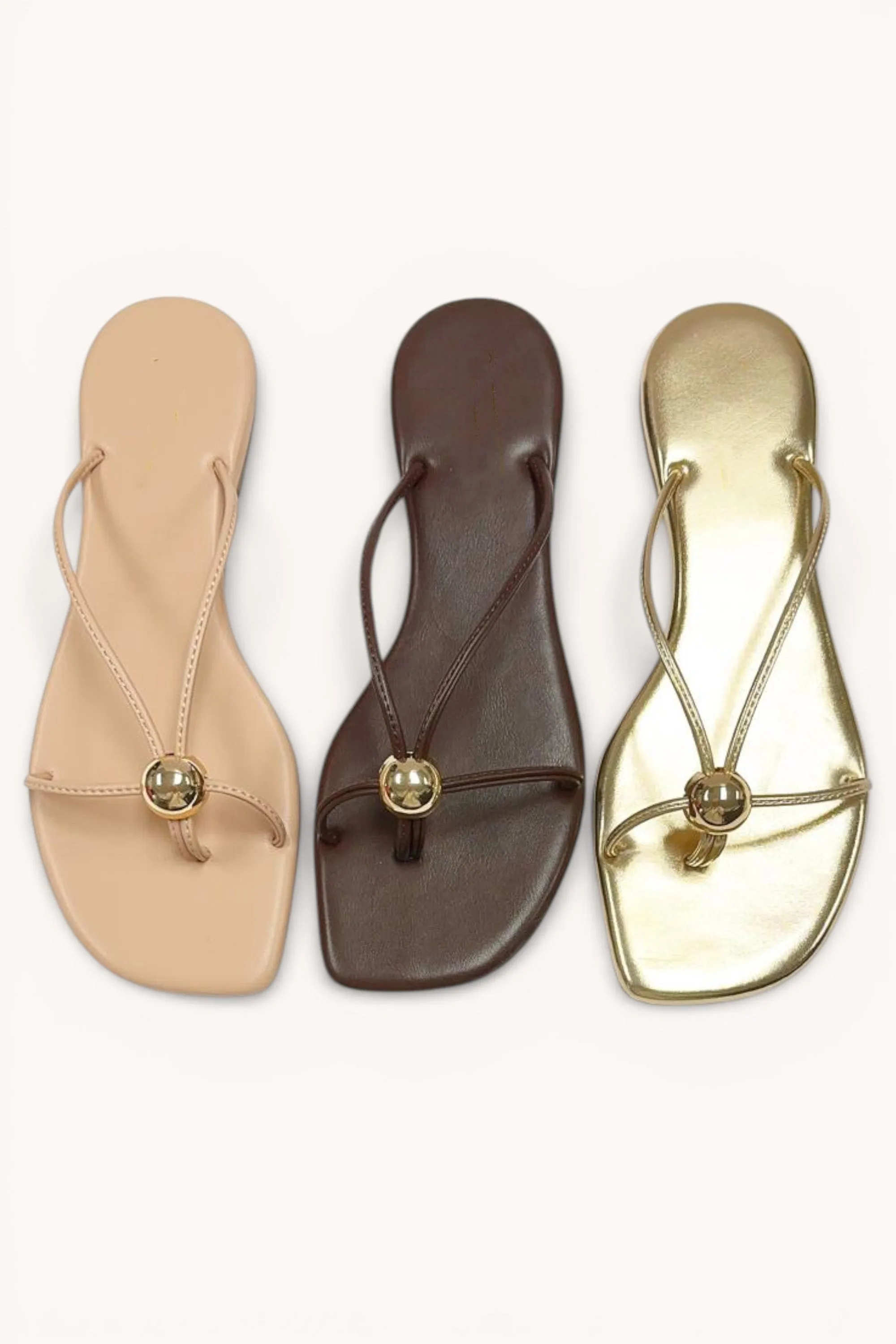 DISA-1 sold by CCOCCI product image thumbnail 4