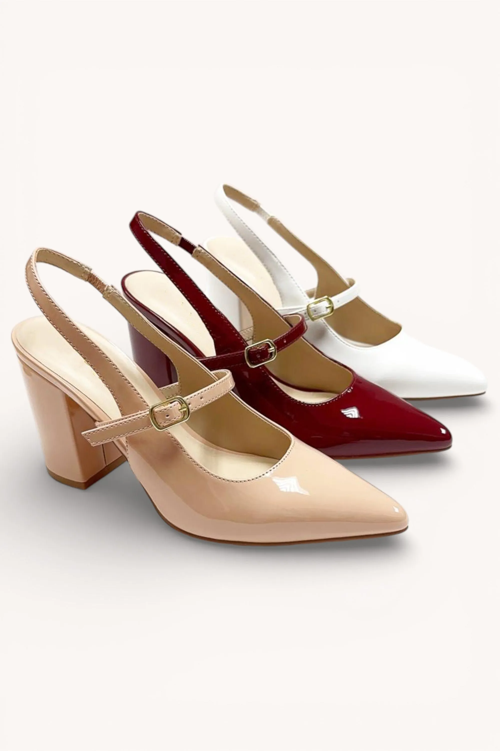 DELIA-5 sold by CCOCCI