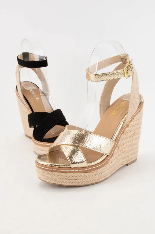 BASSET 2026 sold by CCOCCI