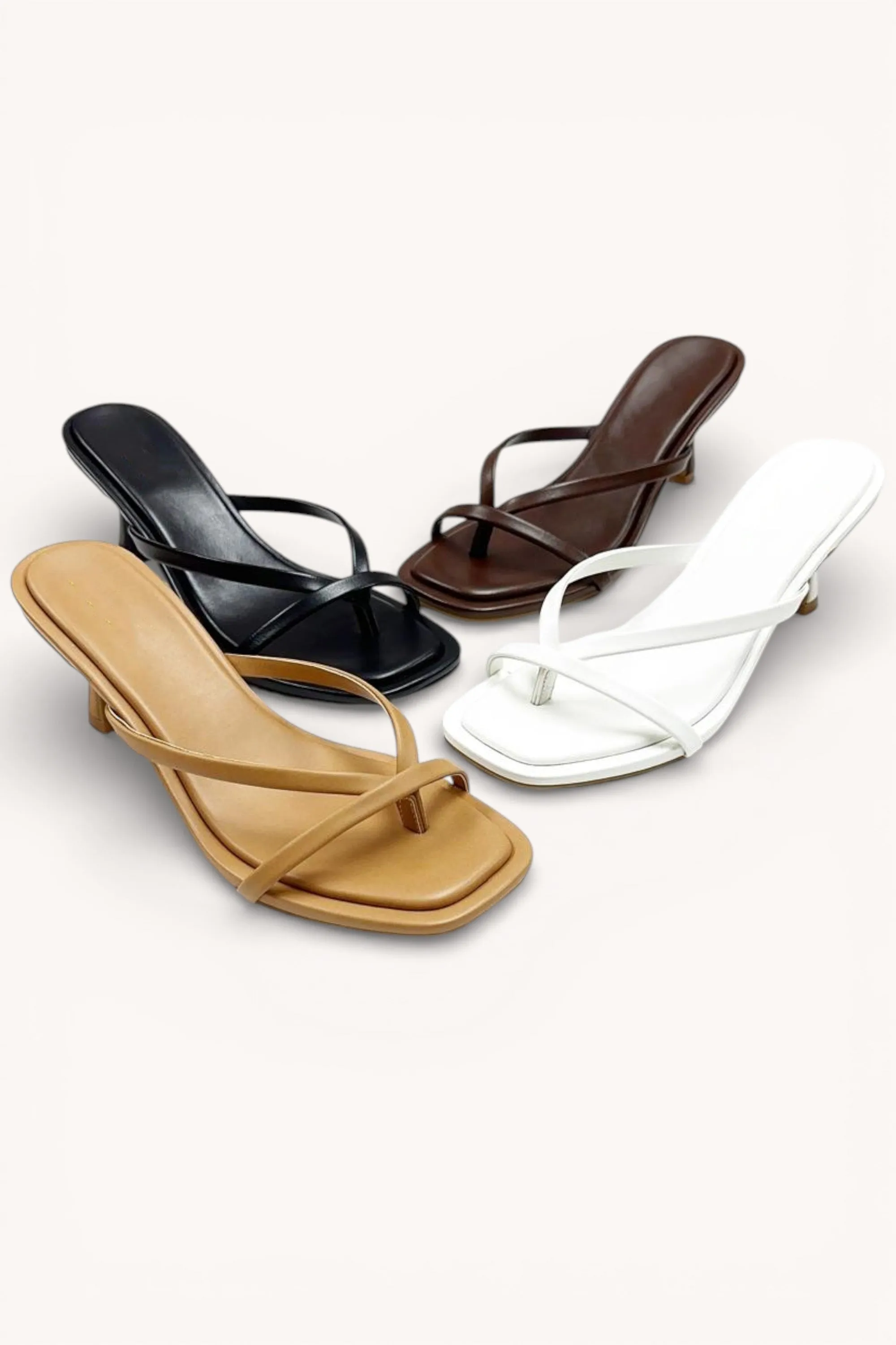 AILANY-1 sold by CCOCCI