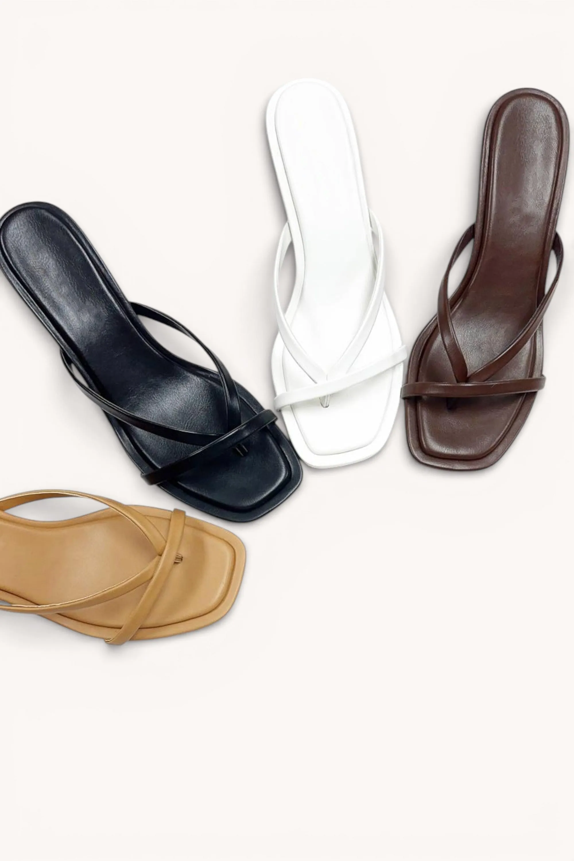 AILANY-1 sold by CCOCCI product image thumbnail 2