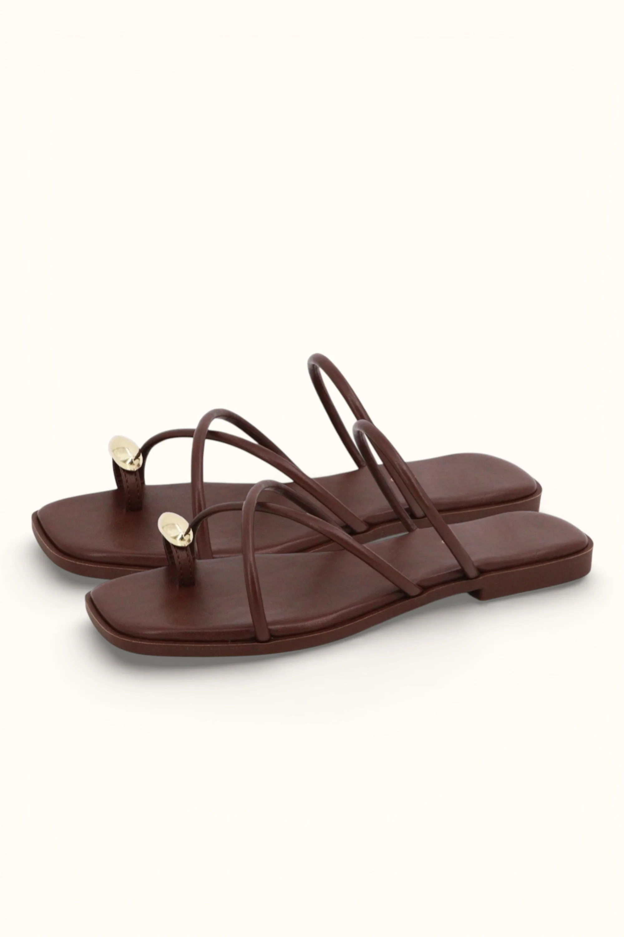 HINT-91 2026 sold by CCOCCI