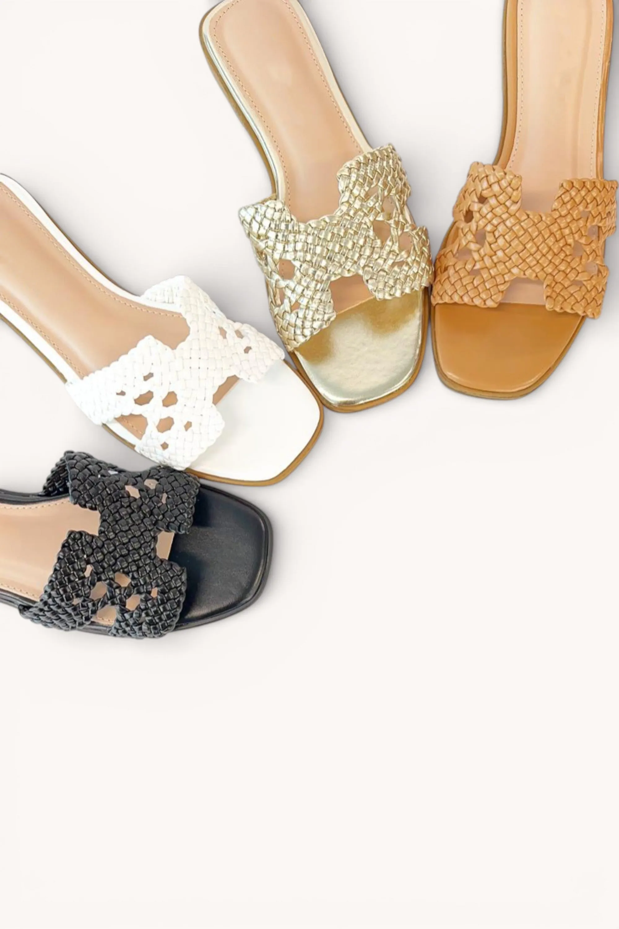 REASON-21 sold by CCOCCI product image thumbnail 4