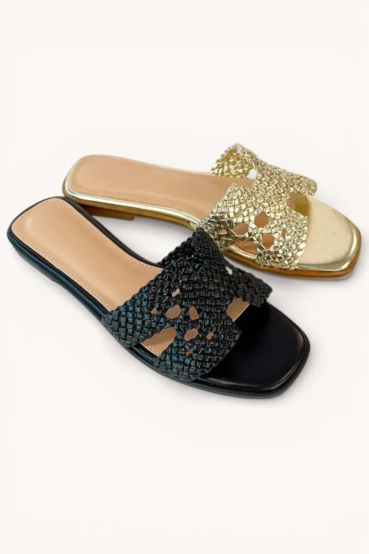 REASON-21 sold by CCOCCI