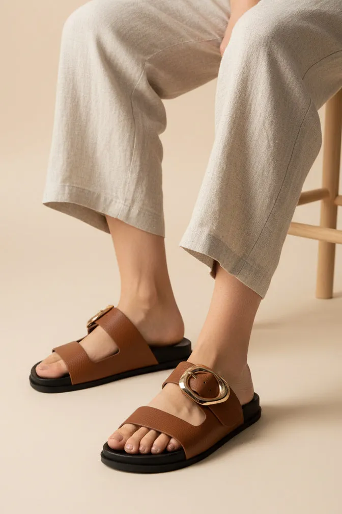 SPEED sold by CCOCCI