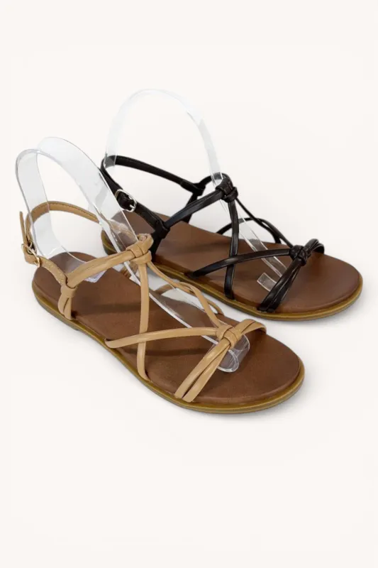 CRITICAL-75 sold by CCOCCI