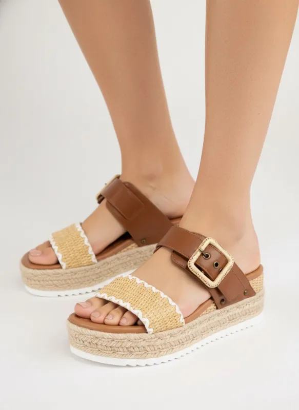 SAIL-S sold by CCOCCI