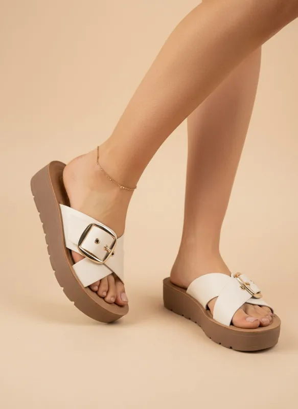 VIDEO sold by CCOCCI