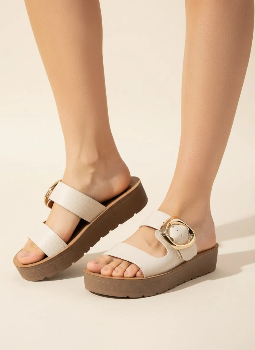 SHANCE sold by CCOCCI