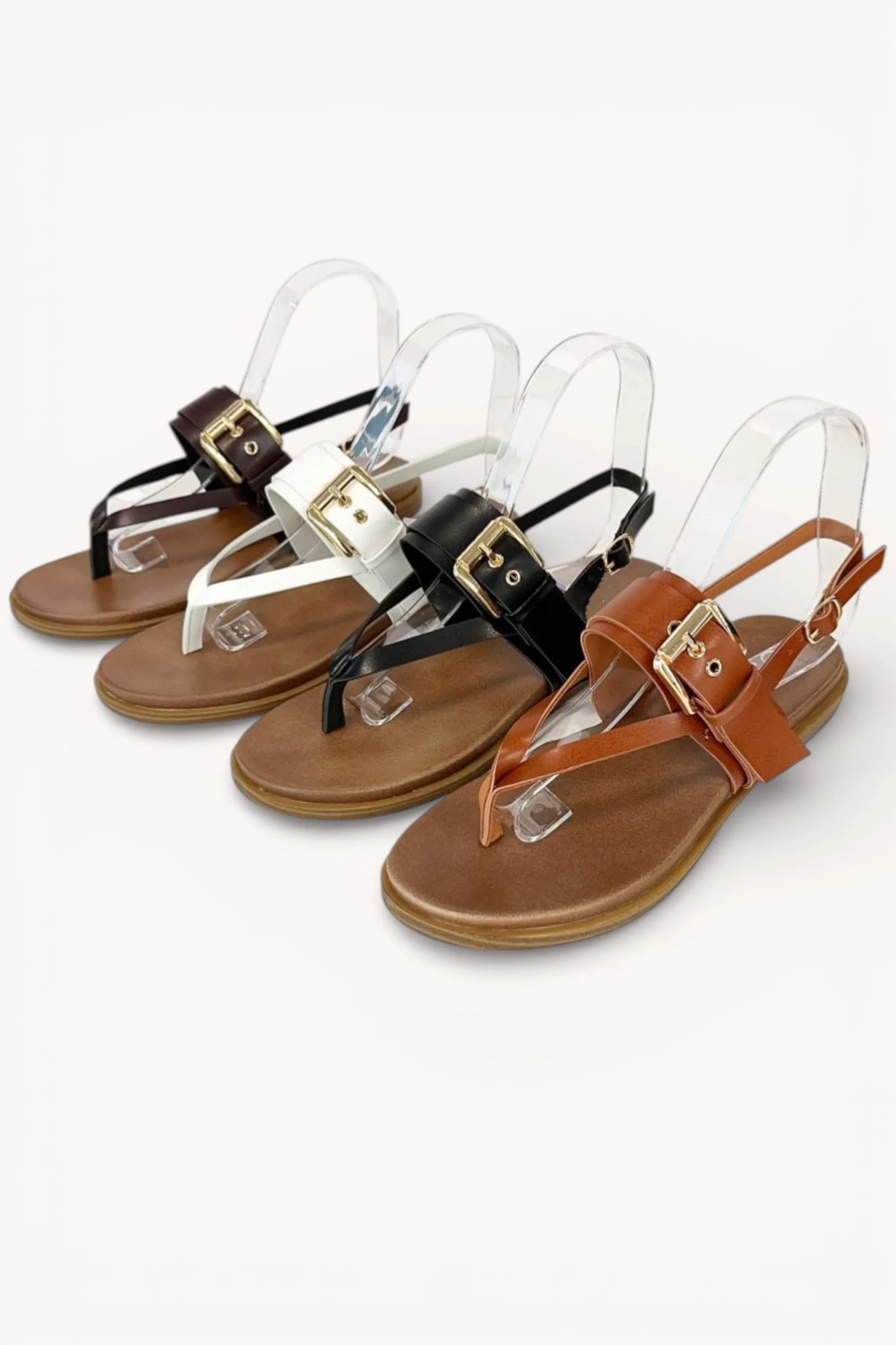 CRITICAL-83 sold by CCOCCI