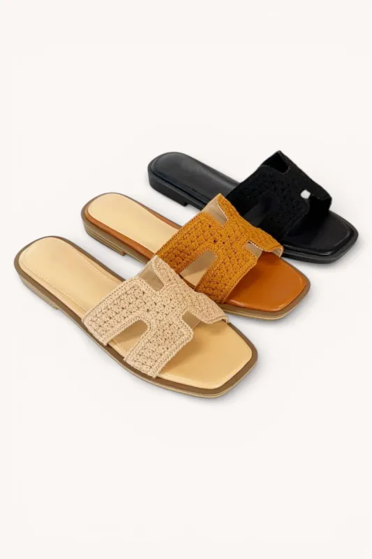 SOURCE-37-C made by CCOCCI