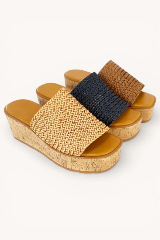 EARNEST-47 sold by CCOCCI