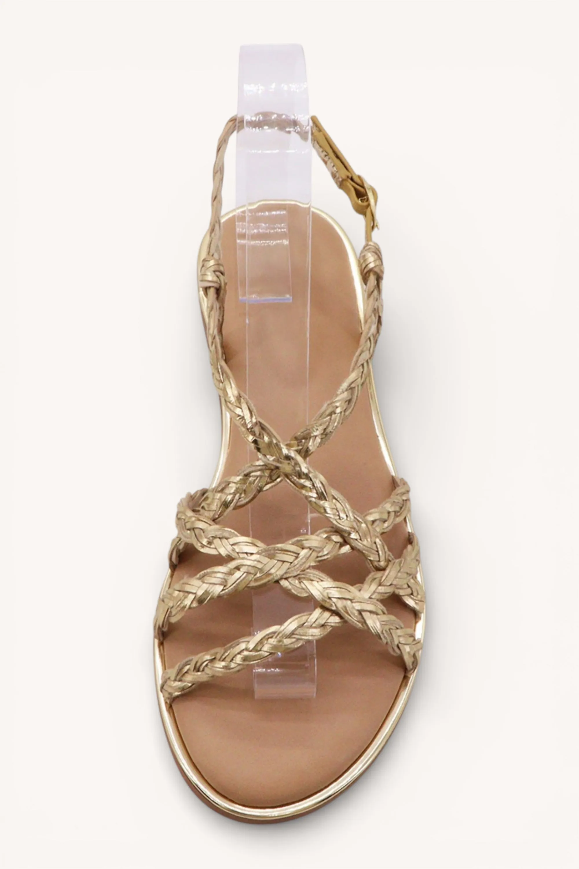 DAZZLE-05 sold by CCOCCI product image thumbnail 4