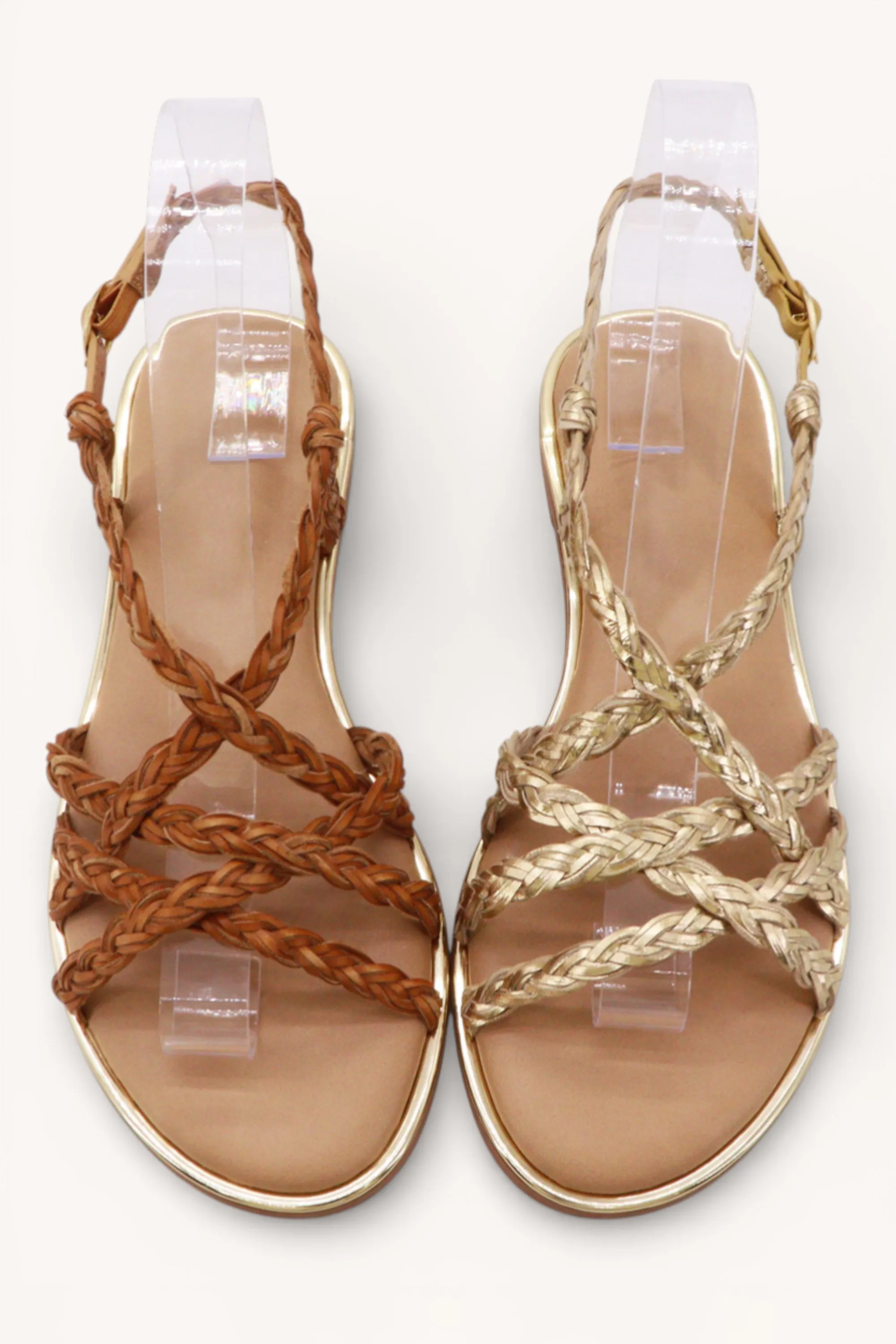 DAZZLE-05 sold by CCOCCI