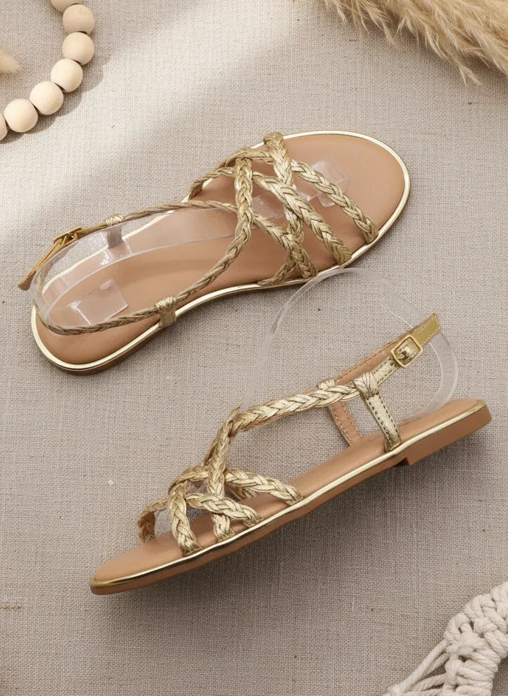 DAZZLE-05 sold by CCOCCI product image thumbnail 2