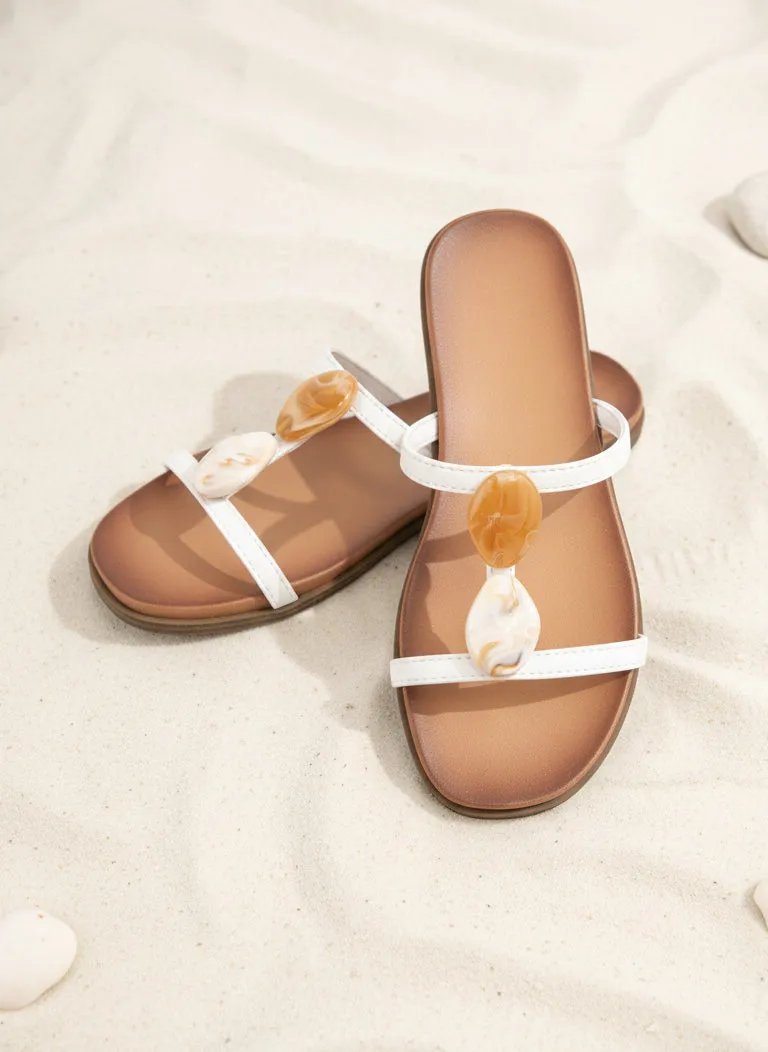 ENOVA-01 sold by CCOCCI