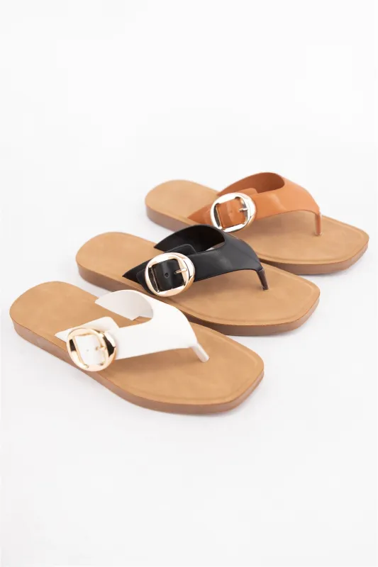 PANA-55 made by CCOCCI