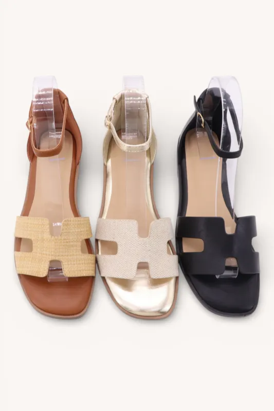 POINT-18 made by CCOCCI