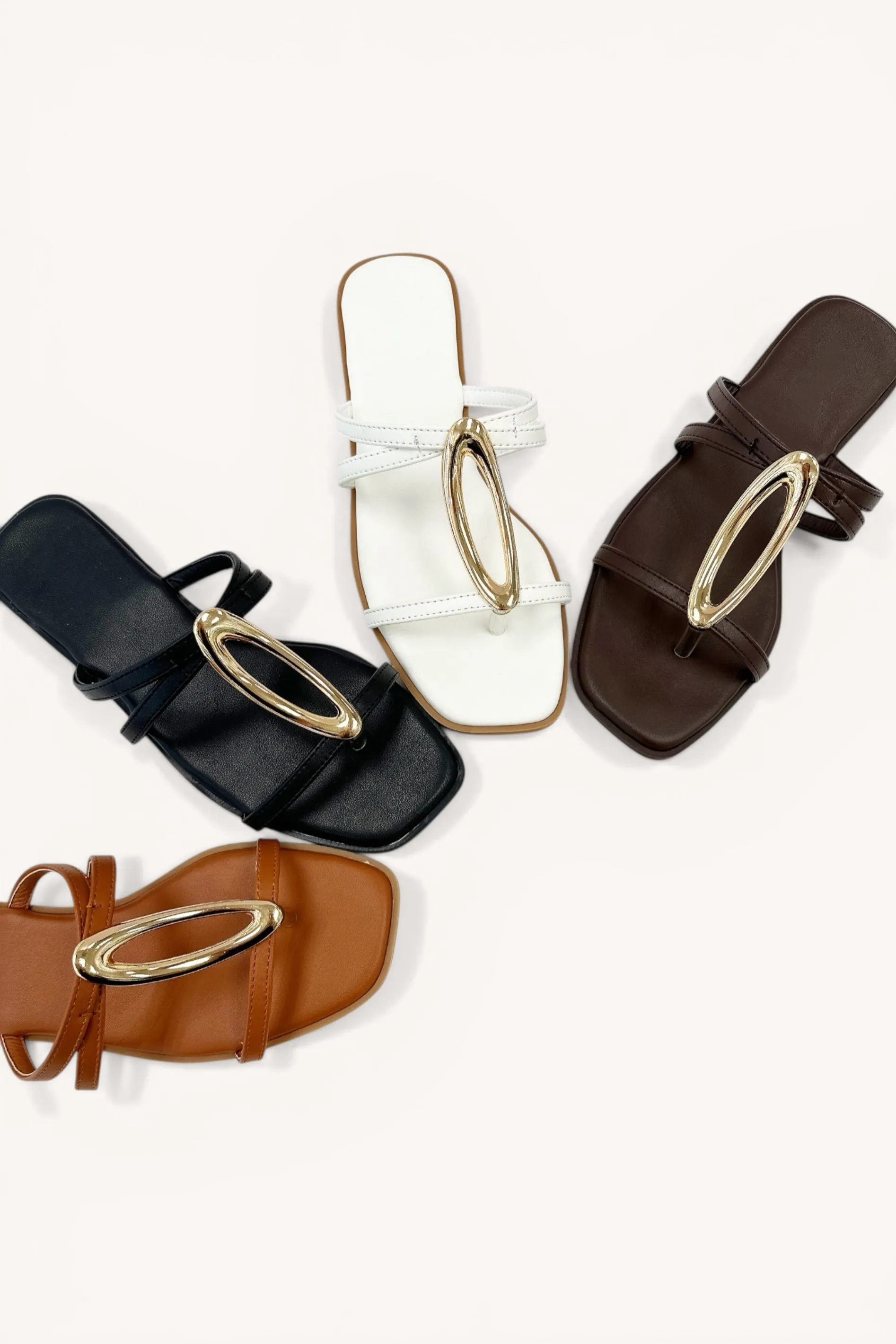 AUTUMN-1 sold by CCOCCI