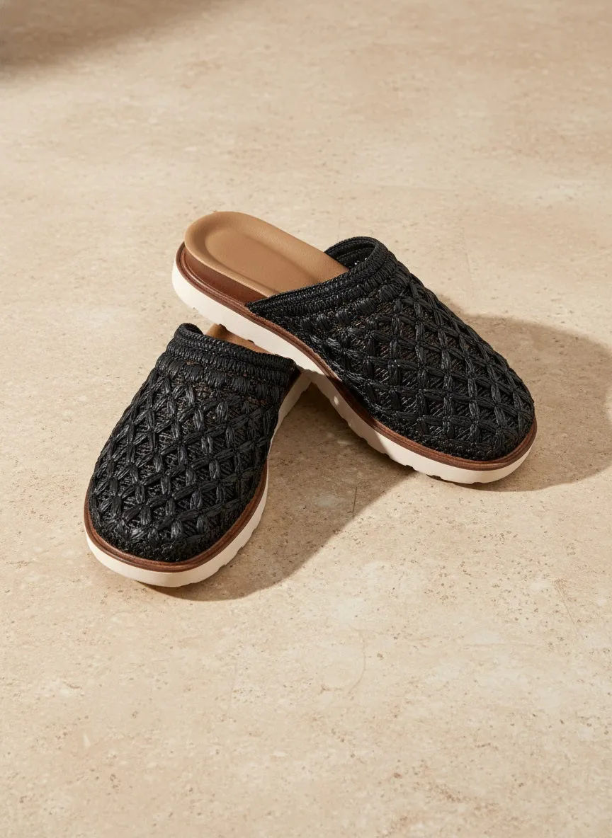 4331_1 sold by CCOCCI