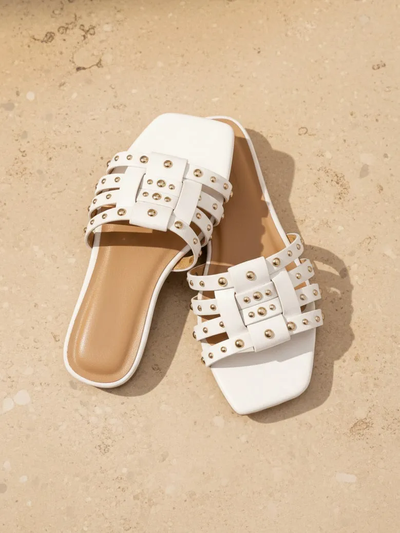 SETTER_1 sold by CCOCCI