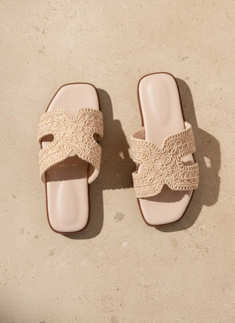 VIEW-68_1 sold by CCOCCI product image thumbnail 5