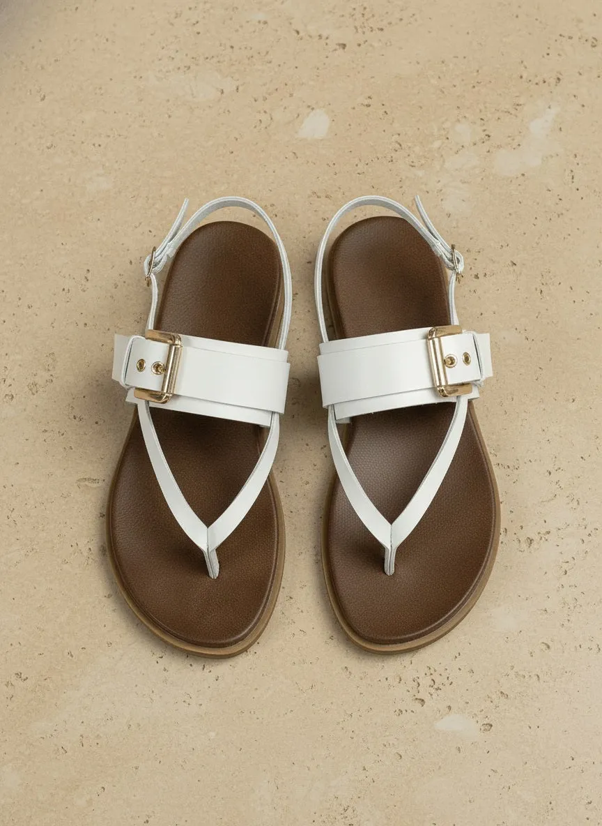 CRITICAL-86_1 sold by CCOCCI