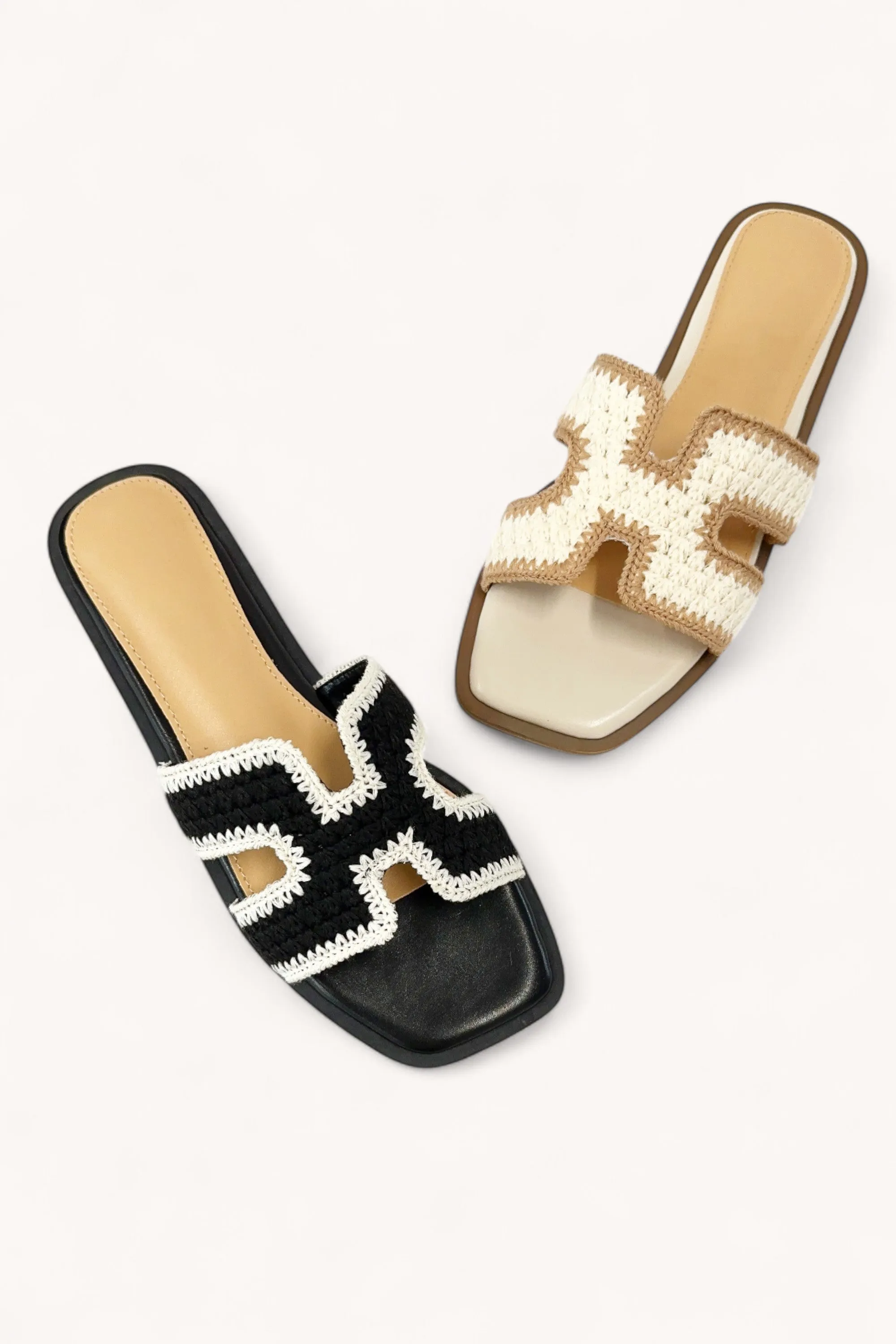 SOURCE-37_1 sold by CCOCCI product image thumbnail 2